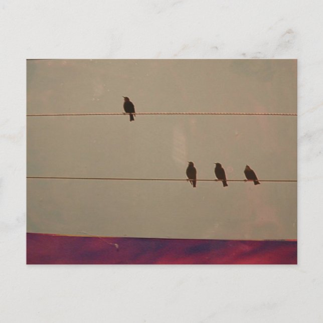 Serenity Series Postcard (Front)