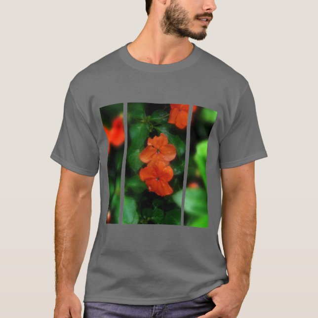 Serenity T-Shirt (Front)