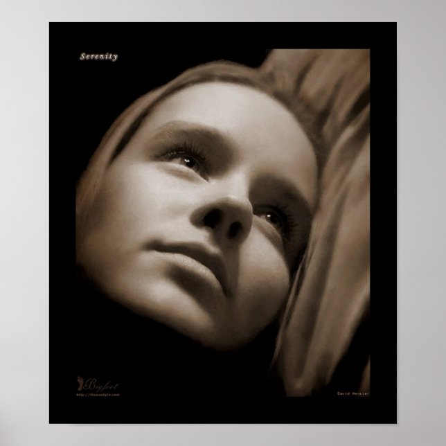 Serenity V2 Poster (Front)