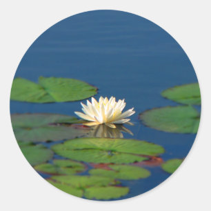 Serenity Water Lily Classic Round Sticker