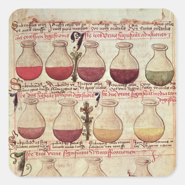 Series of flagons for urine analysis square sticker (Front)