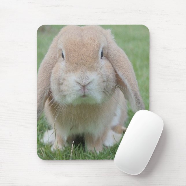 serious bunny photo mouse mat (With Mouse)
