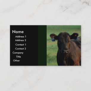 Serious Business Card