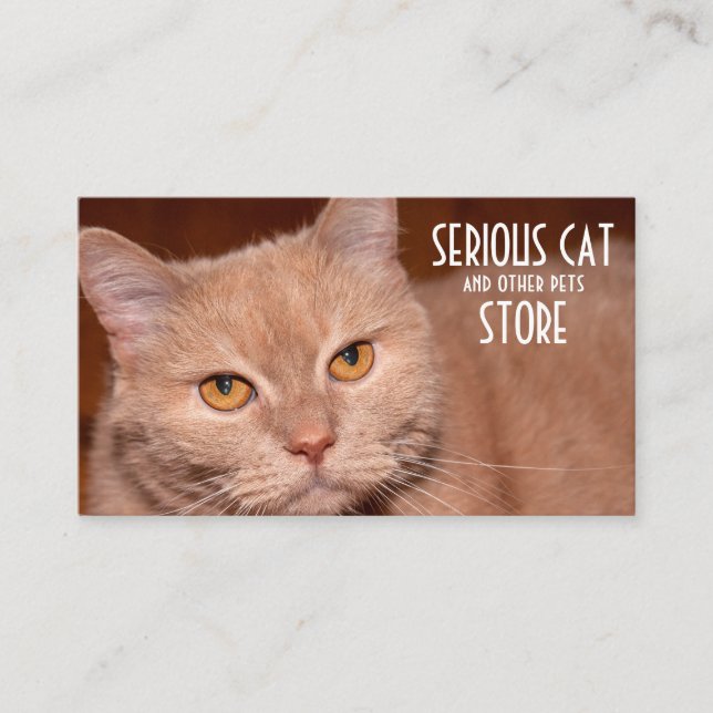 Serious Cat and other pets customisable Business Card (Front)