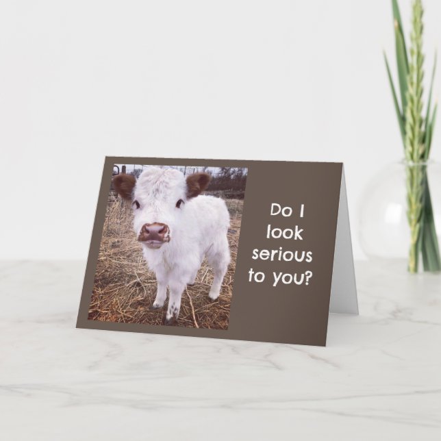 SERIOUS/CUTE COW SAYS "HAPPY BIRTHDAY" CARD (Front)