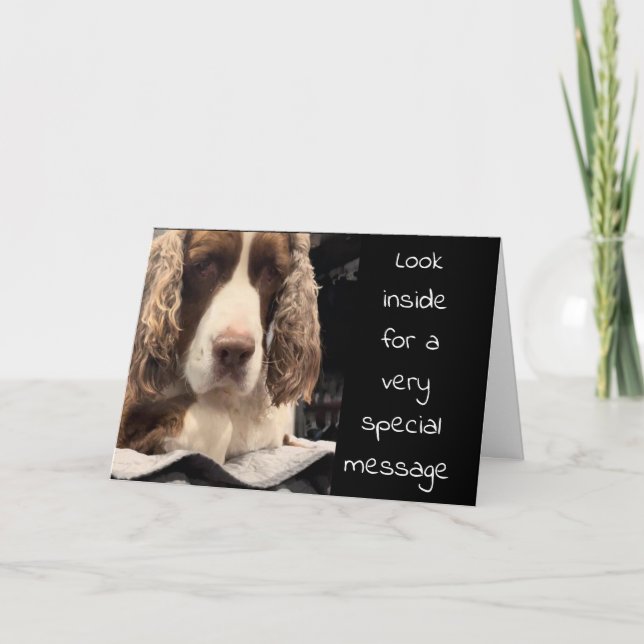 SERIOUS DOG SAYS "LOOK INSIDE" BIRTHDAY WISHES CARD (Front)