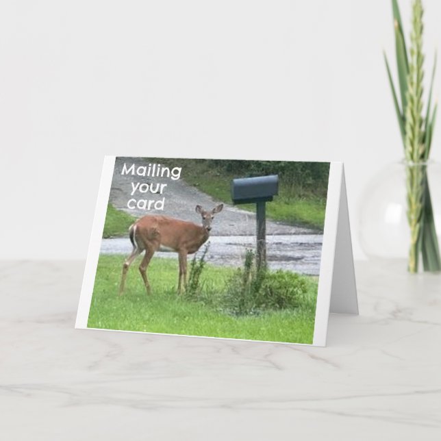 SERIOUS/FUNNY DEER SAYS "HAPPY BIRTHDAY" CARD (Front)