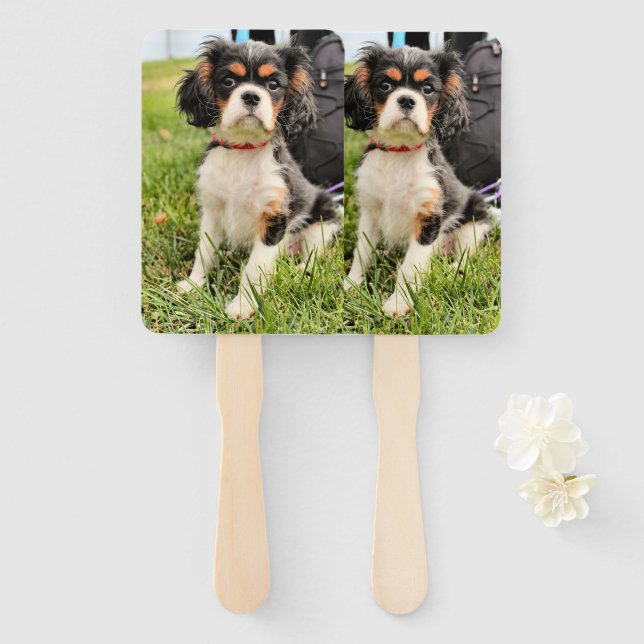 Serious Hand Fan (Front and Back)