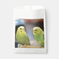 Serious keets  