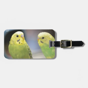 Serious keets luggage tag