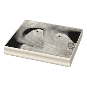 Serious keets rubber stamp