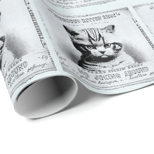 Serious kitten, old newspaper personalised wrapping paper