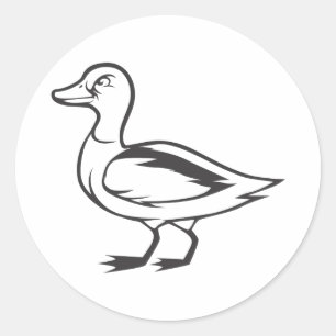 Serious Mallard Duck Bird in Black and White Classic Round Sticker