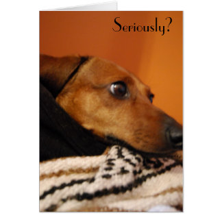 Serious puppy card