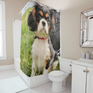 Serious Shower Curtain