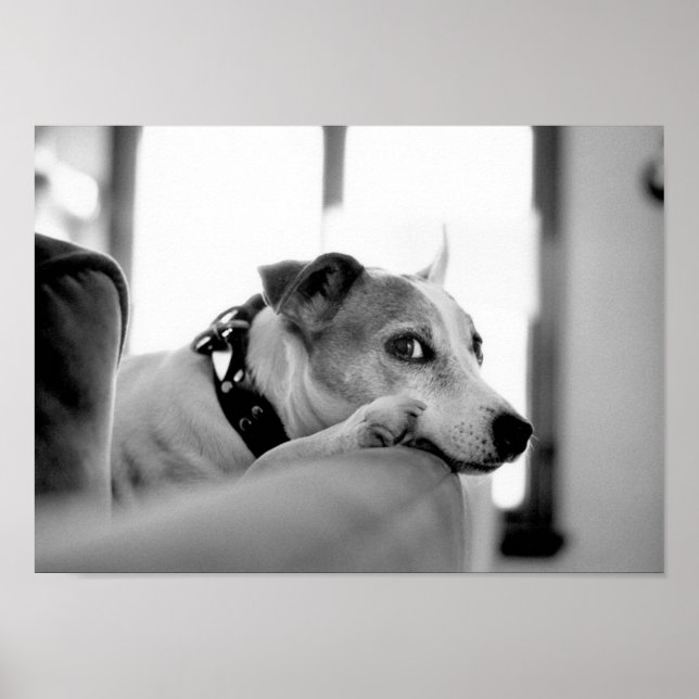 Serious Side Eye. Poster (Front)