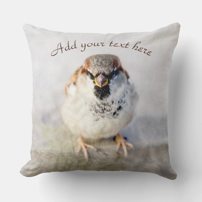Serious Sparrow Cushion (Front)