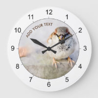 Serious Sparrow