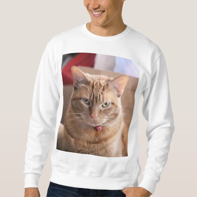 Serious Sweatshirt (Front)