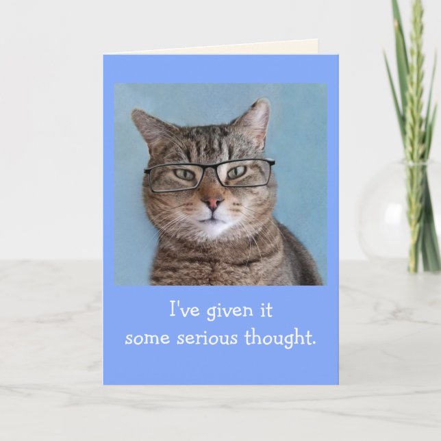 Serious Thinking Cat Birthday Card (Front)