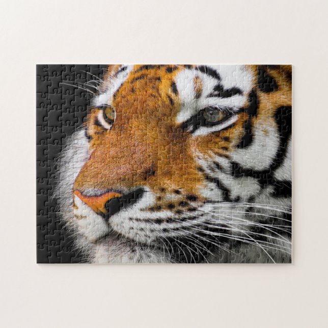 Serious tiger face jigsaw puzzle (Horizontal)