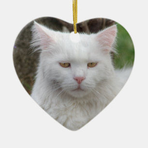 Serious White Cat Ceramic Tree Decoration