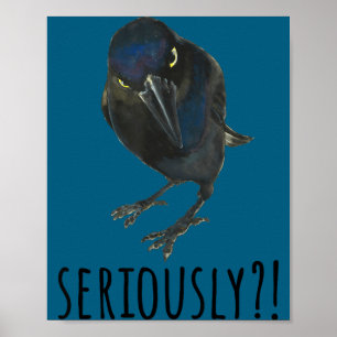 Seriously Mpy Black Grackle Black Bird  Poster