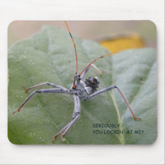 Seriously you looking at me? mouse mat