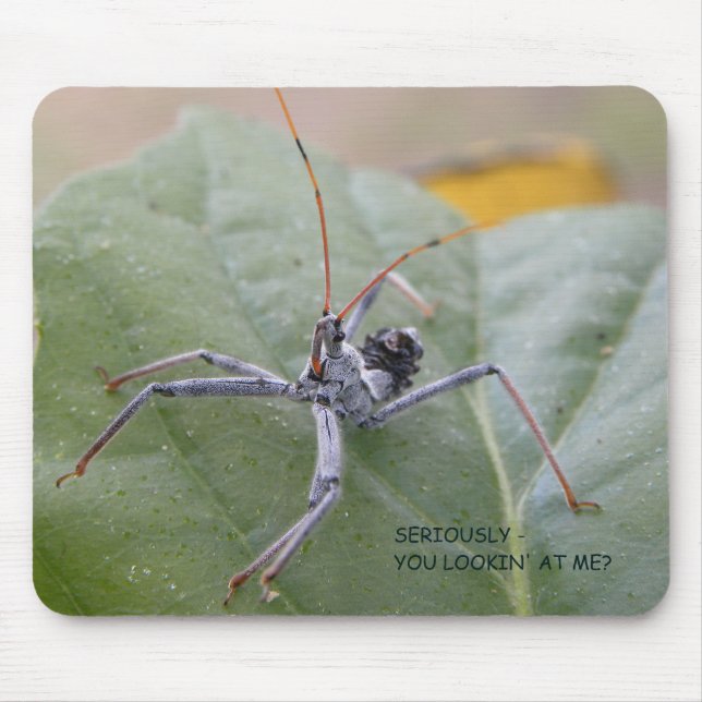 Seriously you looking at me? mouse mat (Front)