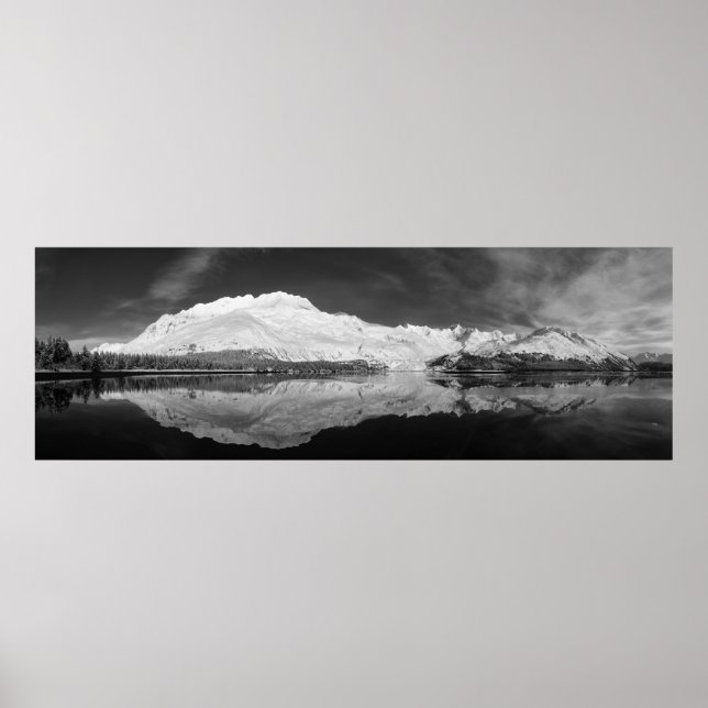 Serpentine Cove Black and White Poster (Front)