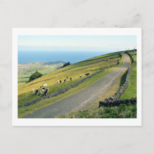 Serra do Cume: Terceira Postcard