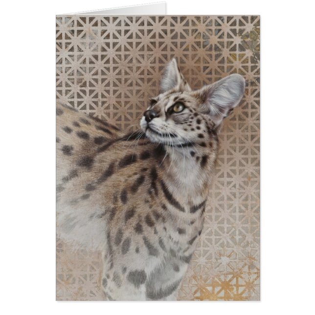Serval Blank Card By Andrew Denman (Front)
