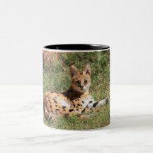 Serval Cat Mug