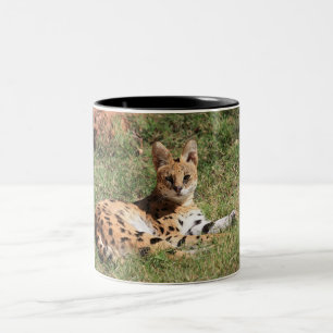Serval Cat Mug