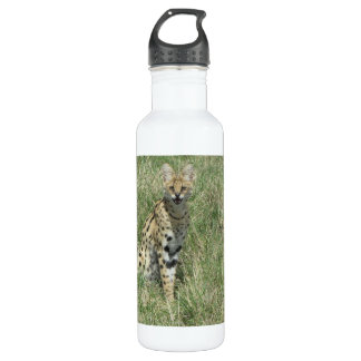 Serval cat stainless steel water bottle