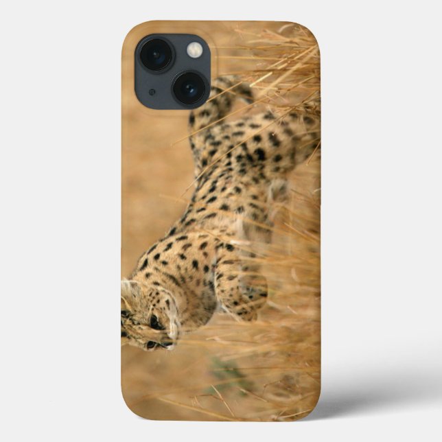 Serval (Leptailurus Serval) Jumping Case-Mate iPhone Case (Back)