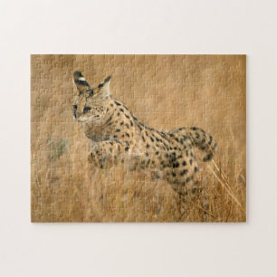 Serval (Leptailurus Serval) Jumping Jigsaw Puzzle