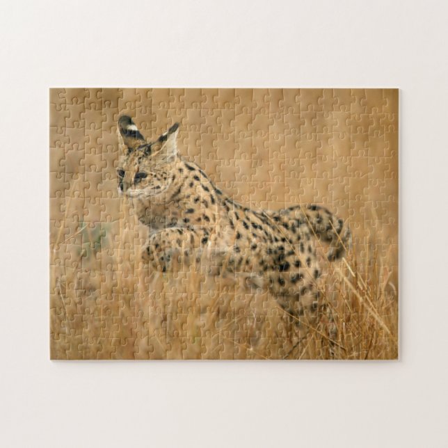 Serval (Leptailurus Serval) Jumping Jigsaw Puzzle (Horizontal)