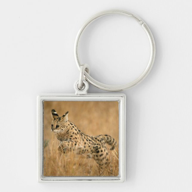 Serval (Leptailurus Serval) Jumping Key Ring (Front)