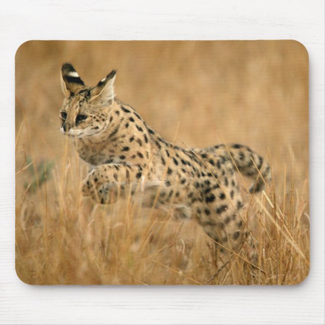Serval (Leptailurus Serval) Jumping Mouse Mat (Front)