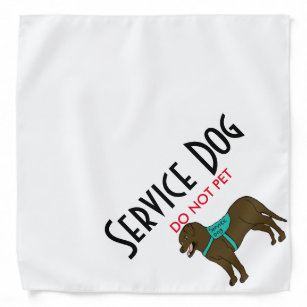 service dog stuff