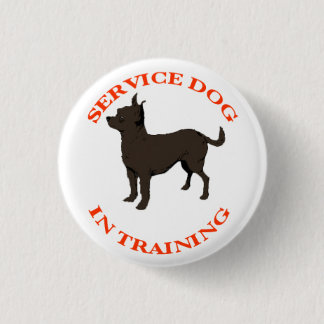 Service Dog In Training button