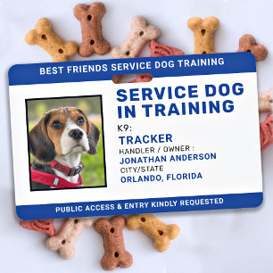 Service Dog In Training ID Blue Personalised Photo Badge