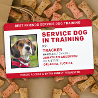 Service Dog In Training ID Red Personalised Photo
