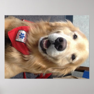 Service Dog Jonah  Smiles at the Dentist Poster