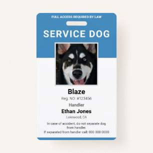 Service Dog Photo Blue Badge ID Badge