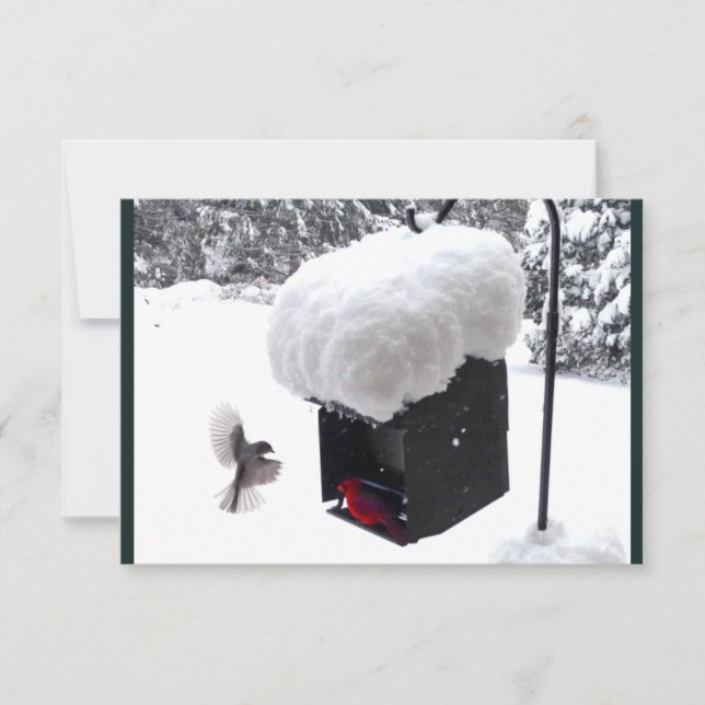 Serviceman, Postman, UPS, FedEx, Tip Card (Front)