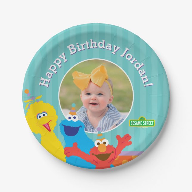 Sesame Pals Birthday Pattern Paper Plate (Front)