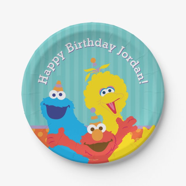 Sesame Pals Birthday Pattern Paper Plate (Front)