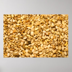 Sesame Seeds Poster